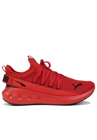 Buty męskie sportowe Puma SOFTRIDE CARSON FRESH. Kolor: czerwony, wielokolorowy, czarny. Sport: bieganie