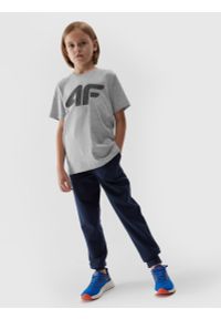 4F JUNIOR - T-shirt z nadrukiem chłopięcy. Kolor: szary. Materiał: bawełna, dzianina, wiskoza. Wzór: nadruk