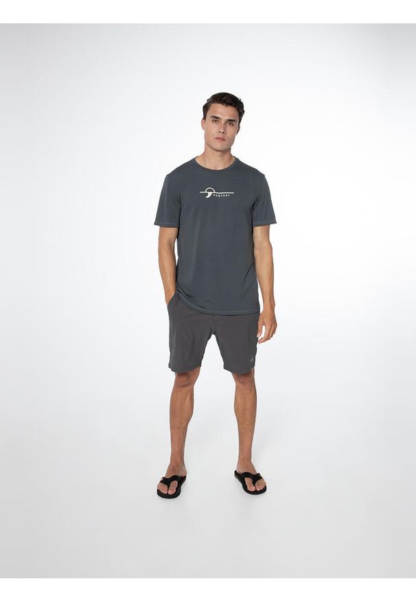 Koszulka męska Protest PRTLEGUNDI surf t-shirt. Kolor: zielony, wielokolorowy, szary