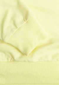 Born2be - Jasnozielona Bluza z Dodatkiem Bawełny Wykończona Ściągaczami Evilaya. Okazja: na co dzień. Kolor: zielony. Materiał: bawełna. Długość rękawa: długi rękaw. Długość: długie. Styl: casual, sportowy #3