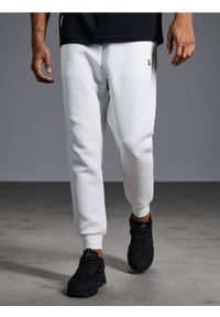 Sinsay - Spodnie tapered fit - biały. Kolor: biały. Materiał: dresówka, dzianina. Długość: długie