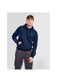 Bluza bawełniana bluza z kapturem Hummel Active. Typ kołnierza: kaptur. Kolor: wielokolorowy, niebieski, zielony. Materiał: bawełna. Wzór: nadruk, jodełka. Sport: fitness #1