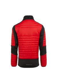 Regatta - Męska Kurtka EVolve Hybrid Stretch Jacket. Kolor: czerwony, czarny, wielokolorowy. Sport: turystyka piesza