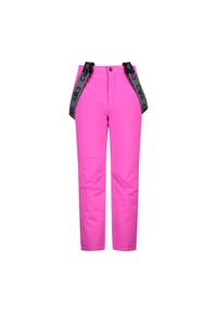 Spodnie dziecięce narciarskie CMP 3W15994. Kolor: szary, fioletowy, wielokolorowy. Sezon: lato. Sport: narciarstwo #1