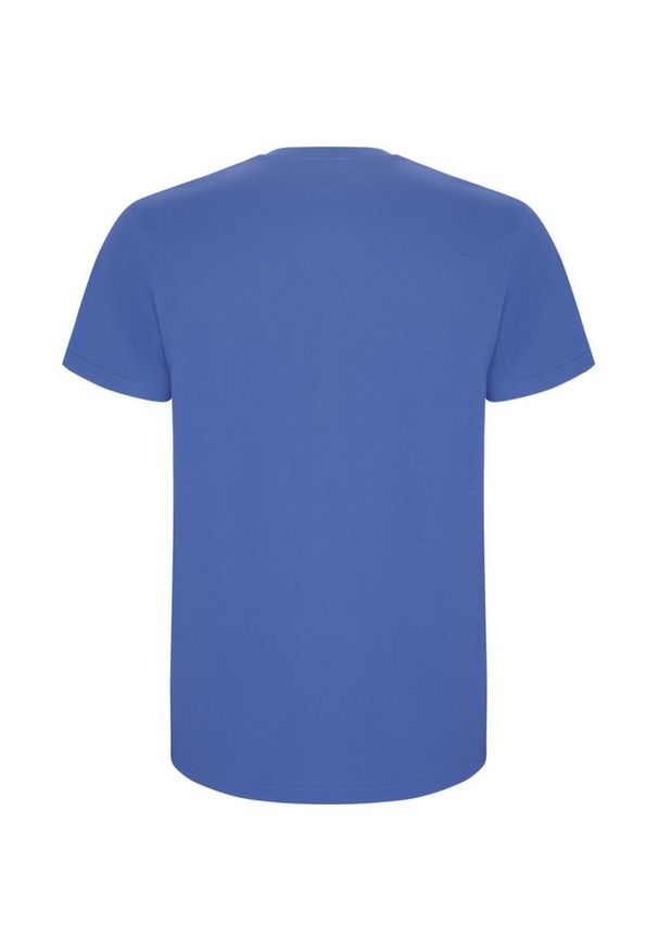 ROLY - Męska Koszulka Stafford. Kolor: niebieski. Sport: turystyka piesza