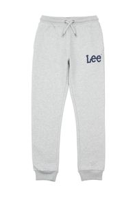 Lee Spodnie dresowe LEE0011 Szary Regular Fit. Kolor: szary. Materiał: bawełna