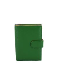 Barberini's - Portfel skórzany BARBERINI'S zielony D-8578-38. Kolor: zielony. Materiał: skóra. Wzór: kolorowy #1