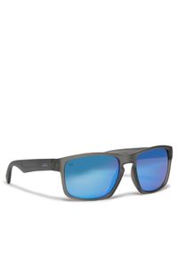 GOG Okulary przeciwsłoneczne Logan E713-2P Szary. Kolor: szary #1