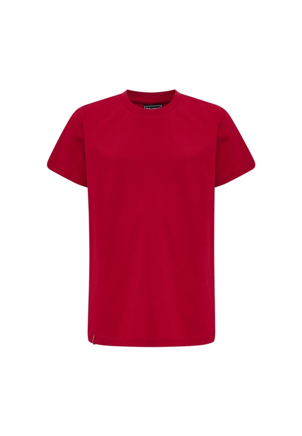 Koszulka dla dzieci Hummel Red Basic. Kolor: czerwony, wielokolorowy, różowy. Materiał: bawełna. Długość rękawa: krótki rękaw. Długość: krótkie. Sport: piłka ręczna