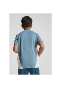 Puma - Młodzieżowa koszulka treningowa Olympique Marsylia PUMA Bold Blue Putty Beige. Kolor: wielokolorowy, beżowy, niebieski