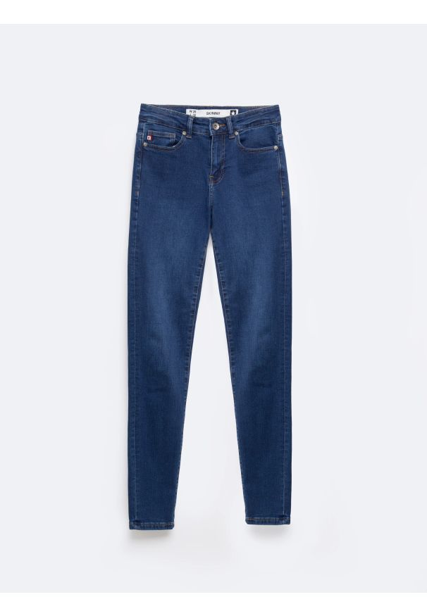 Big-Star - Jeansy damskie skinny niebieskie Adela 358. Kolor: niebieski. Styl: klasyczny