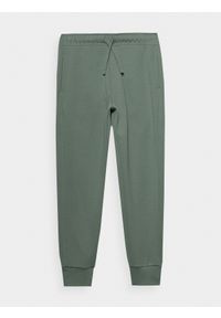 outhorn - Spodnie dresowe męskie Outhorn - zielone. Kolor: zielony. Materiał: dresówka