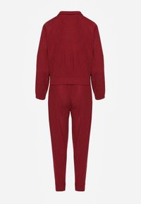 Renee - Bordowy Komplet Dresowy w Prążki Bluza Kurtka Rozpinana z Kołnierzykiem i Spodnie Lisulla. Kolor: czerwony. Materiał: dresówka. Wzór: prążki. Sport: turystyka piesza #5