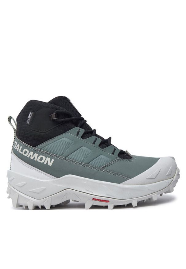 salomon - Salomon Trekkingi Crosstrak Waterproof L47570400 Zielony. Kolor: zielony. Materiał: materiał