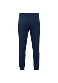 Spodnie dresowe Jako Allround. Kolor: niebieski, wielokolorowy, żółty. Materiał: dresówka. Sport: piłka nożna #2