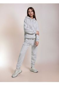 Sinsay - Spodnie dresowe jogger - Inny. Materiał: dresówka