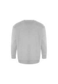 AWDIS - Bluza Z Recyklingu Dla Dorosłych Unisex Ecologie. Kolor: szary