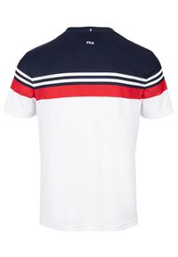 Koszulka sportowa męska Fila Malte. Kolor: wielokolorowy. Materiał: bawełna, poliester. Długość rękawa: krótki rękaw. Długość: krótkie. Sport: tenis