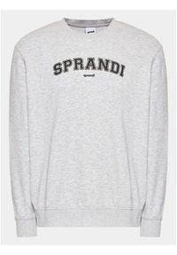 Sprandi Bluza SP3-BLM042 Szary Regular Fit. Kolor: szary. Materiał: bawełna