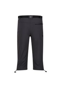 Regatta - Męskie Spodenki Xert Stretch III Stretch Active Capri Shorts. Kolor: szary