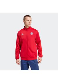 Adidas - Kurtka dresowa piłkarska ADIDAS FC Bayern. Materiał: dresówka. Wzór: haft. Sport: piłka nożna