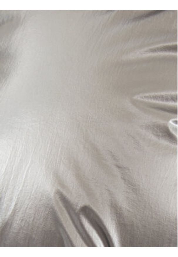 Elisabetta Franchi Kurtka zimowa PI-77D-46E2-V570 Srebrny Regular Fit. Kolor: srebrny. Materiał: syntetyk. Sezon: zima