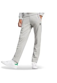 Adidas - Spodnie męskie adidas Trefoil Essentials French Terry JD2424 - szare. Kolor: szary. Materiał: bawełna, materiał, dresówka. Sport: fitness