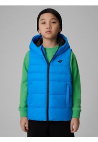 4f - 4F Bezrękawnik z wypełnieniem syntetycznym chłopięcy - granatowy 152 (11-12 lat). Okazja: na spacer, na co dzień, na uczelnię. Typ kołnierza: kołnierzyk stójkowy. Kolor: niebieski. Materiał: syntetyk. Długość rękawa: bez rękawów. Sezon: lato. Styl: casual #1