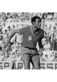 COPA FOOTBALL - Koszulka retro piłkarska dla dorosłych - Maroko 1970 - Czerwona. Kolor: czerwony. Sezon: lato. Sport: piłka nożna