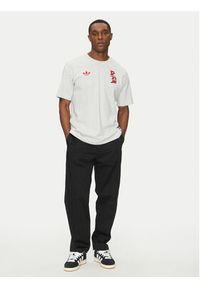 Adidas - adidas T-Shirt FC Bayern VRCT JL6112 Szary Regular Fit. Kolor: szary. Materiał: bawełna