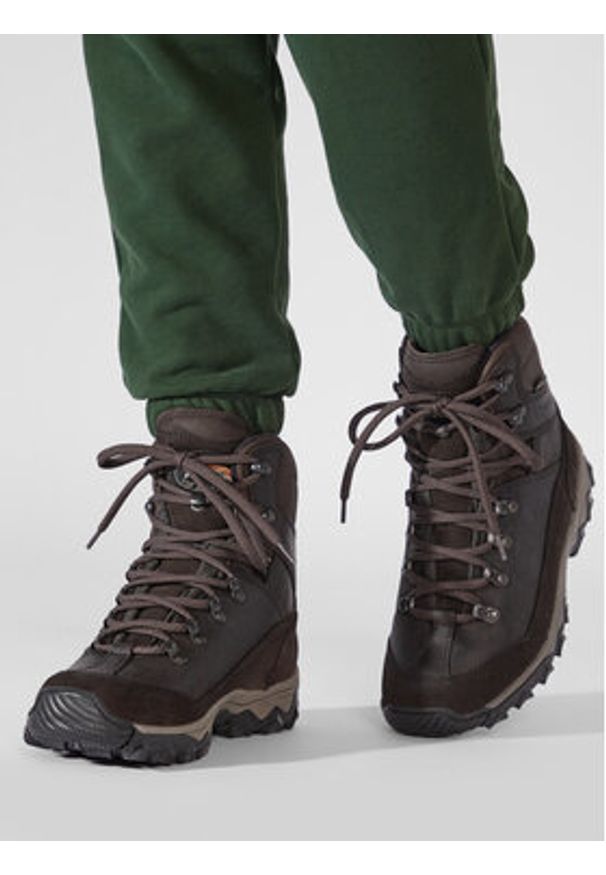 MEINDL - Meindl Trekkingi Rauris Lady Gtx GORE-TEX 7893 Brązowy. Kolor: brązowy. Materiał: skóra