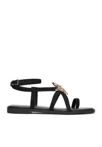 DeeZee Sandały CEO-YLD-F9678 Czarny. Kolor: czarny. Materiał: materiał #1