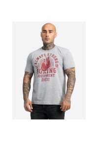 Koszulka Benlee Equipt. Kolor: szary #1