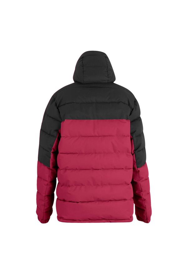 Regatta - Męska Ocieplana Kurtka Aldthorn. Kolor: czerwony. Materiał: puch. Sport: turystyka piesza