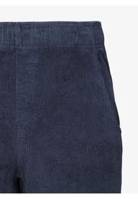 Spodenki wspinaczkowe męskie Black Diamond Dirtbag Corduroy Shorts. Kolor: niebieski