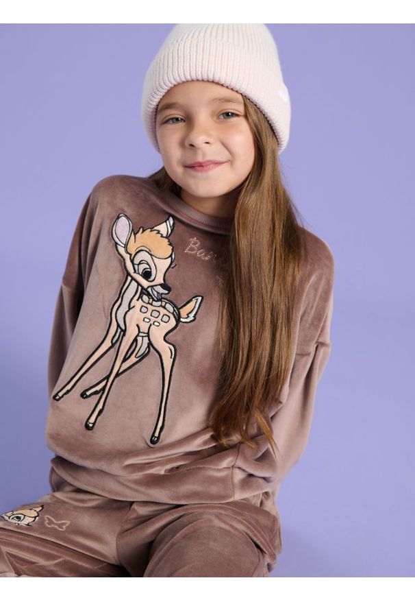 Sinsay - Bluza Disney - brązowy. Kolor: brązowy. Materiał: materiał, welur. Wzór: motyw z bajki