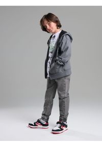 Sinsay - Jeansy joggers - szary. Kolor: szary