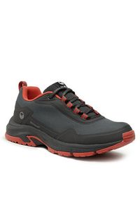 Halti Trekkingi Fara Low 2 Men's Dx Outdoor Shoes 054-2620 Szary. Kolor: szary. Materiał: skóra. Sport: turystyka piesza, outdoor #2