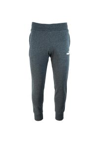 Spodnie damskie Puma ESS Sweatpants FL. Kolor: szary. Materiał: bawełna, materiał. Długość: długie #1