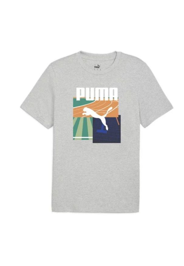 Koszulka sportowa męska Puma Graphics Summer Sports. Kolor: szary. Materiał: bawełna. Długość rękawa: krótki rękaw. Długość: krótkie