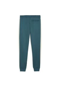Spodnie sportowe męskie Puma 53948522. Kolor: wielokolorowy. Styl: sportowy