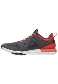 Buty treningowe damskie Reebok Zprint 3D. Kolor: szary. Materiał: materiał, syntetyk, tkanina. Szerokość cholewki: normalna. Sport: fitness