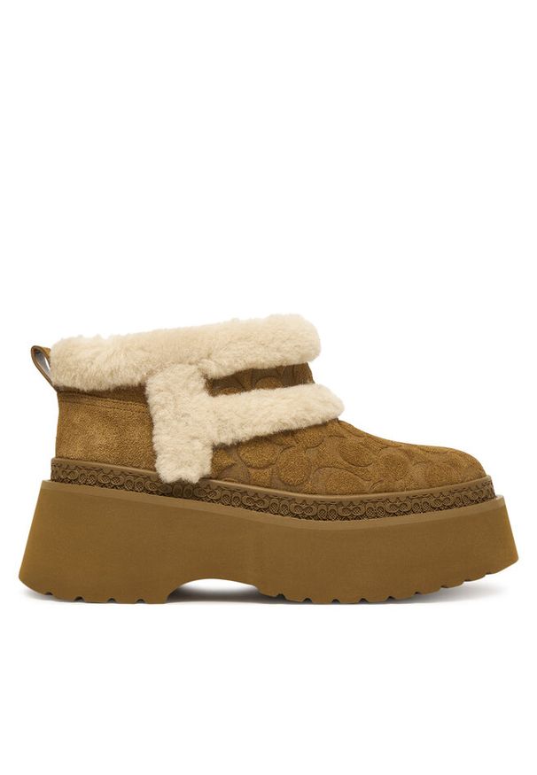 Śniegowce Coach. Kolor: brązowy