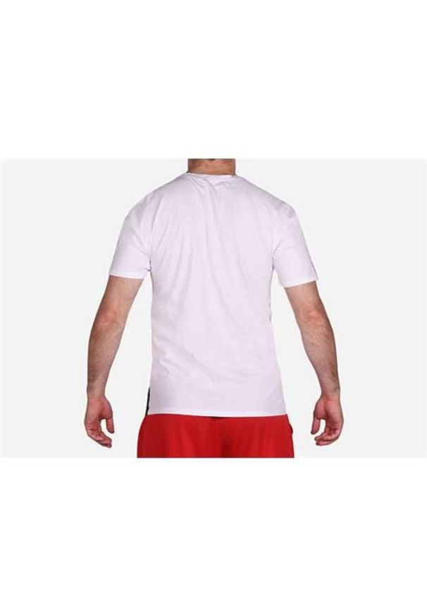 Koszulka sportowa męska Nike Air Jordan The Greatest. Kolor: wielokolorowy, szary. Długość rękawa: krótki rękaw. Długość: krótkie