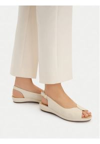 Go Soft Sandały CEO-R25SS02354 Beżowy jasny. Kolor: beżowy. Materiał: skóra #5