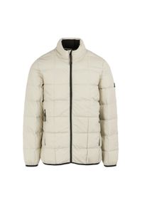 Regatta - Męska Ocieplana Kurtka Wilnor. Kolor: beżowy, wielokolorowy, biały. Materiał: puch. Sport: turystyka piesza #1