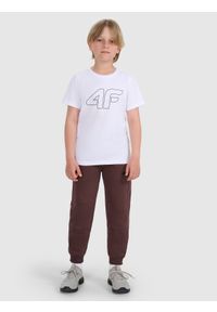 4f - 4F T-shirt regular z nadrukiem chłopięcy - biały 122 (6-7 lat). Okazja: na co dzień. Kolor: biały. Materiał: bawełna, materiał, jersey. Długość rękawa: krótki rękaw. Długość: krótkie. Wzór: nadruk. Sezon: lato. Styl: klasyczny, młodzieżowy, sportowy, casual