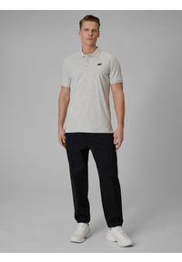 4f - 4F Koszulka polo regular męska - szara S. Okazja: na spacer, na co dzień, do pracy. Typ kołnierza: polo. Kolor: szary. Materiał: dzianina, bawełna, materiał. Styl: casual, klasyczny #2