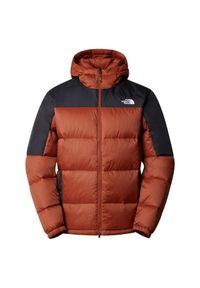 Kurtka zimowa męska The North Face DIABLO DWN Z. Kolor: brązowy, czarny, wielokolorowy. Sezon: zima