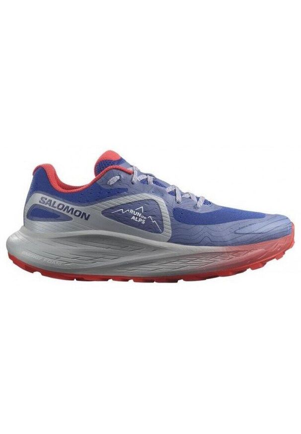 salomon - Buty sportowe męskie Salomon Glide Max TR Run The Alps. Kolor: szary, niebieski, wielokolorowy. Materiał: materiał. Szerokość cholewki: normalna. Sport: bieganie